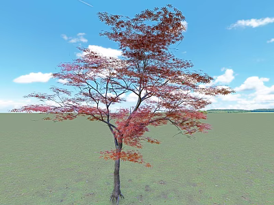 Deciduous Tree With Red Pink Leaves Dark Trunk Against Blue Sky White Clouds Green Grassland 3d model