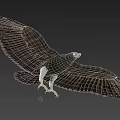 Majestic Eagle Flying With Outstretched Wings Sharp Claws And Dark Feathers On Gray Background 3d model