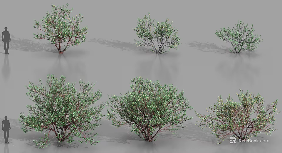 Leafy Trees With Various Natural Shapes Green Foliage And Branches 3d model
