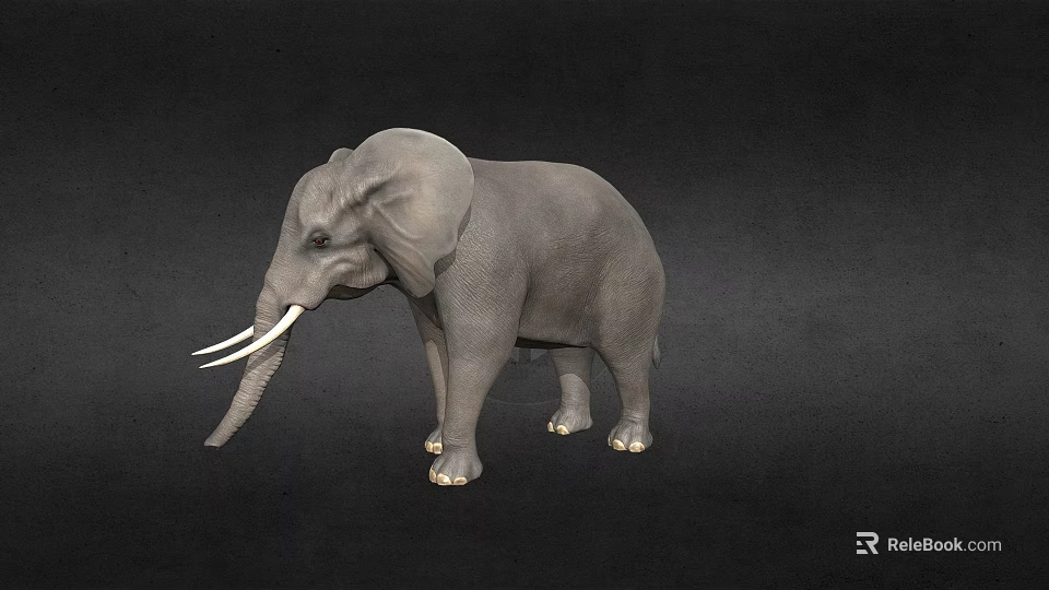 Gray Elephant Model With White Ivory Tusks Standing On Black Background 3d model 
