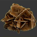 Wood Stone With Orange Red Flower Shaped Layered Structure And Glossy Texture