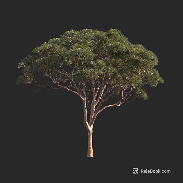 Tall Tree With Lush Green Leaves And Brown Trunk Natural Shape 3d model 