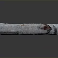 Natural Birch Log With White Bark And Red Spots Showing Rustic Texture 3d model