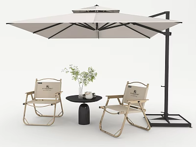 Outdoor Leisure Chairs Setup with Patio Umbrella Small Round Table and Potted Plant 3d model