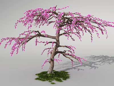 Beautiful Tree With Pink Flowers Brown Trunk Green Grass And Gray Background 3d model