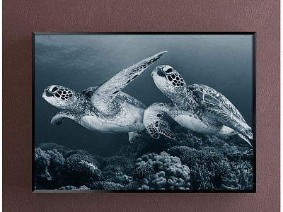 Modern Animal Painting Blue Restaurant Animal Turtle Decorative Painting model