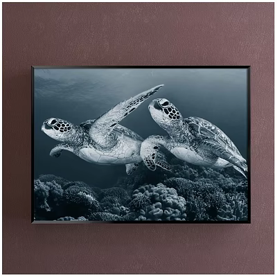 Black And White Framed Animal Painting Of Two Sea Turtles Swimming Underwater With Coral Reefs 3d model