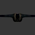 Women's Black Tight Top With Golden Lines Design And High Neck Long Sleeves