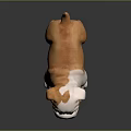 3D Bulldog Puppy Character With Orange And White Fur Standing On Shiny Surface