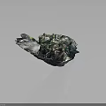 Colorful Textured Terrain Model With Rock Formations Vegetation And Mossy Surfaces
