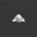 Turtle Cartoon Turtle Snapping Turtle Chickbill Turtle Reptile Cold Blooded Animal Reptile Class 3d model