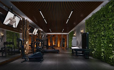 Southeast Asia Aerobic Gym Industrial Wind Gym 3d model