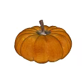 Organic Fresh Orange Round Pumpkin With Textured Skin And Brown Stem