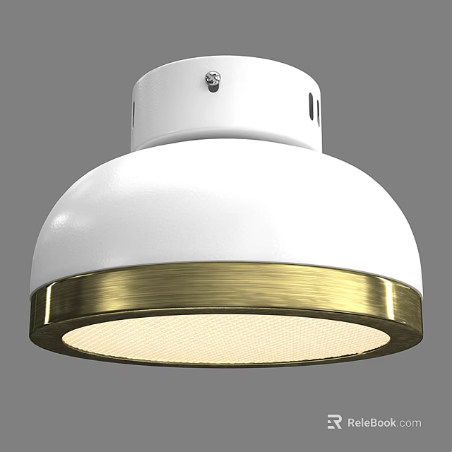 Modern White Ceiling Light With Gold Trim And Stylish Design For Home Interior 3d model 