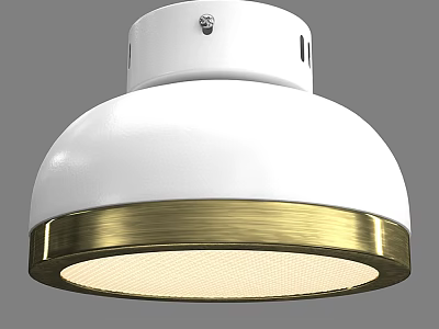 Modern White Ceiling Light With Gold Trim And Stylish Design For Home Interior 3d model