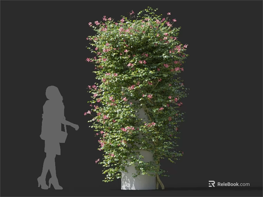 Green Vine With Pink Flowers Growing On White Column Against Black Background 3d model 