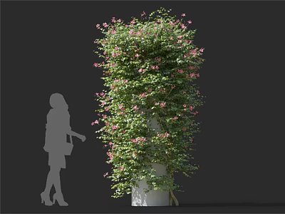 Green Vine With Pink Flowers Growing On White Column Against Black Background 3d model