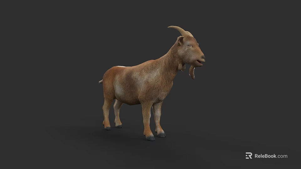 Realistic Brown Goat with Curved Horns Standing in Side View Against Dark Background 3d model 