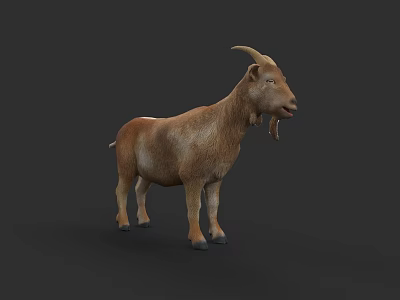 Realistic Brown Goat with Curved Horns Standing in Side View Against Dark Background 3d model