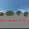 3D Model of Langyu Deciduous Arbor Under Blue Sky With White Clouds 3d model