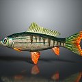 Catfish Carp Sturgeon Bass Freshwater Fish Various Carp Grass Carp Crucian Carp 3d model