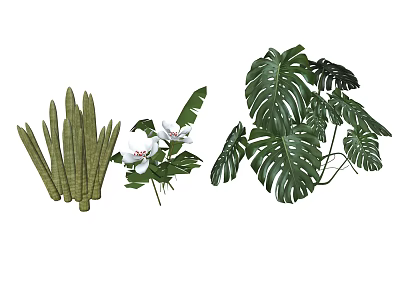 Potted Bonsai Plants With Long Striped Leaves White Flowers And Monstera Leaves 3d model