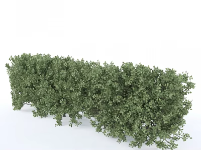 Lush Green Shrubbery With Dense Foliage For Garden Landscaping Design 3d model