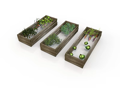 Three Wooden Planter Boxes Growing Various Vegetables Green Plants And Watermelon 3d model