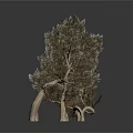 Decorative Small Tree Models Arranged in a Row on White Background