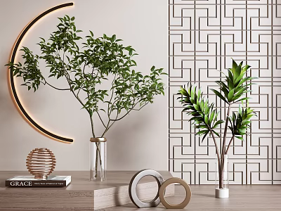 Elegant Vase with Green Leafy Plants Crescent Lamp and Geometric Wall Design 3d model