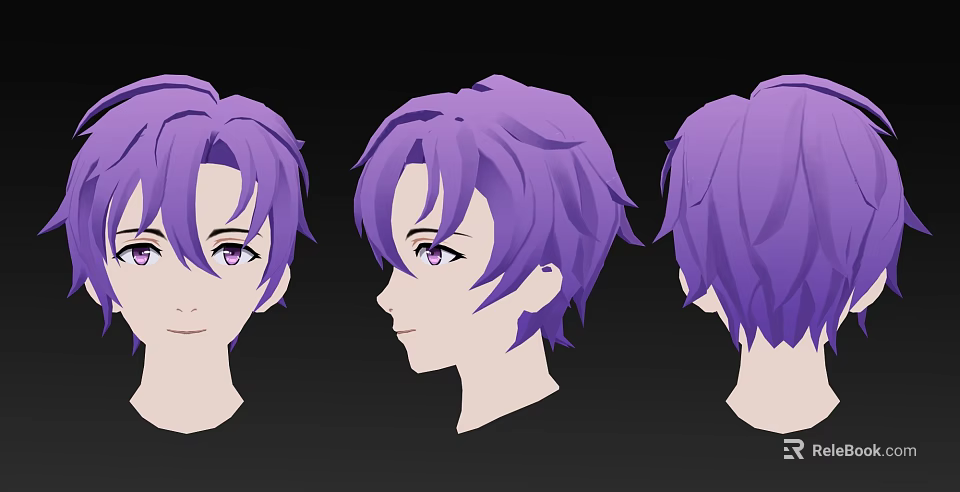 Purple Hair and Facial Features Displayed in Front Side and Back Head Views 3d model 