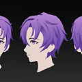 Purple Hair and Facial Features Displayed in Front Side and Back Head Views