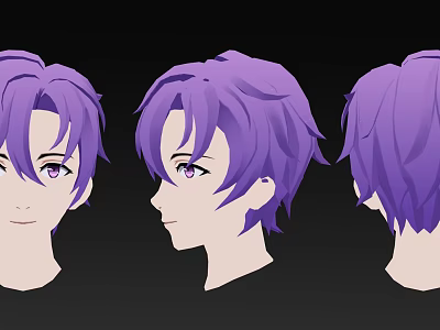 Purple Hair and Facial Features Displayed in Front Side and Back Head Views 3d model