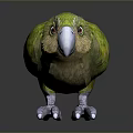 Vibrant Green Parrot with Colorful Feathers Red Eyes and Grey Claws Standing On Black Surface