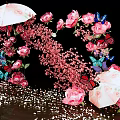 Beautiful Photo Spot With Pink Flowers Butterflies Umbrella Petals Against Black Background