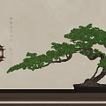 Traditional Bonsai Tree With Curved Branches On Wooden Table And Chinese Lantern
