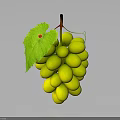 Fresh Ripe Green Grapes With Juicy Berries And Green Leaves On Vine