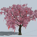 Tall Arbor With Pink Blossoms Red Decorations Blue Sky And Green Grass