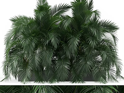 Lush Green Decorative Ornament Combination With Palm Plants And Leafy Foliage For Indoor Styling 3d model