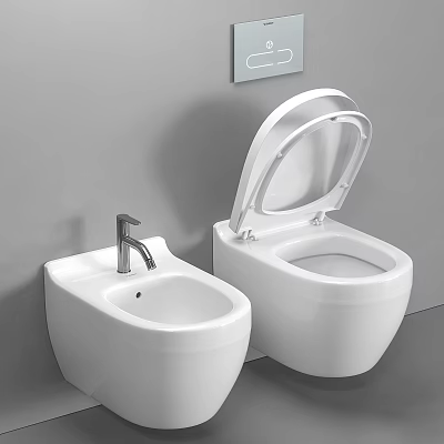 Modern White Ceramic Toilet With Bidet And Silver Faucet On Gray Wall 3d model