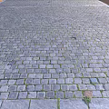 Gray Stone Paver Ground With Natural Mossy Texture And Smooth Surface For Outdoor Courtyard Area