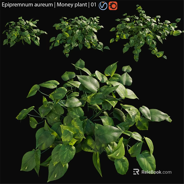 Lush Green Foliage Decorative Plant Ornament Arrangement with Vibrant Leaves 3d model 