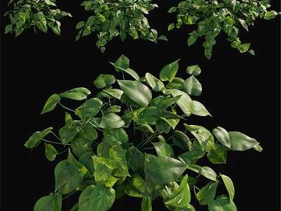 Lush Green Foliage Decorative Plant Ornament Arrangement with Vibrant Leaves 3d model