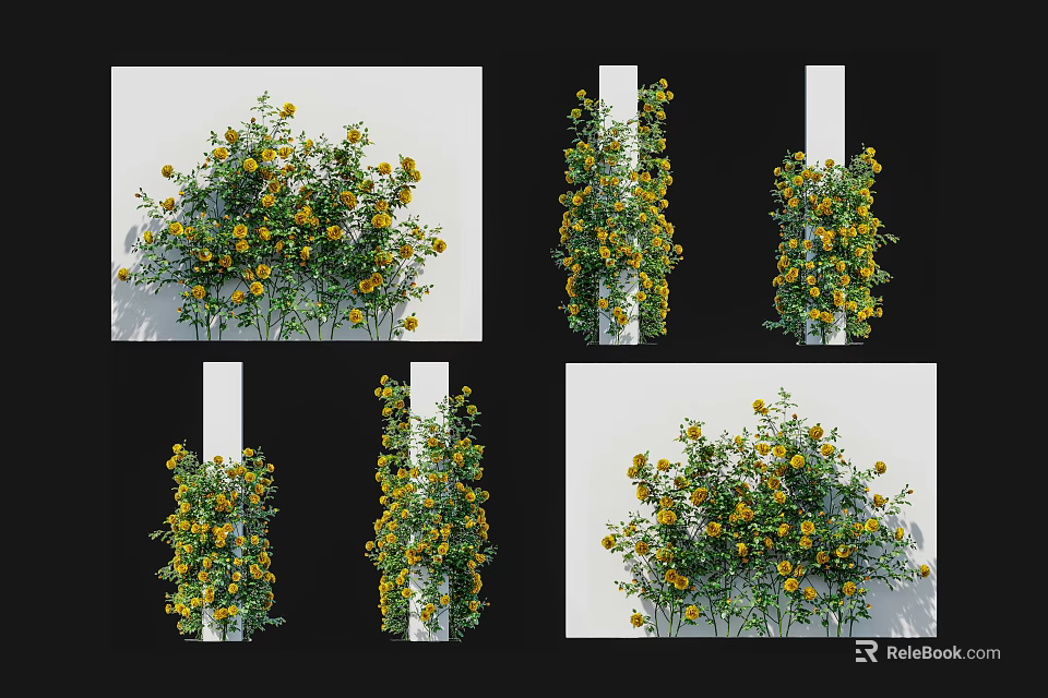 Climbing Vines With Yellow Flowers Decorating White Pillar Displayed From Various Angles 3d model 