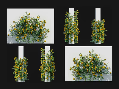 Climbing Vines With Yellow Flowers Decorating White Pillar Displayed From Various Angles 3d model