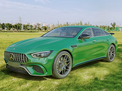 Green Mercedes AMG Coupe Parked On Grassy Field With City Trees Background 3d model