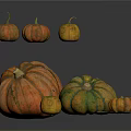 Fresh Pumpkins In Various Sizes And Different Colors On White Background