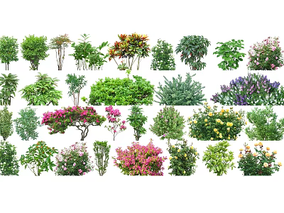 Various Types of Garden Shrubs with Colorful Blooms and Green Foliage 3d model