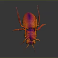 Vibrant Red and Orange Insect with Transparent Wings Shiny Body on Dark Background