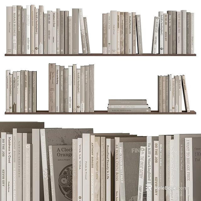 Organized Books and Magazines Collection on Wooden Bookshelves with Stacked Varied Sizes 3d model 